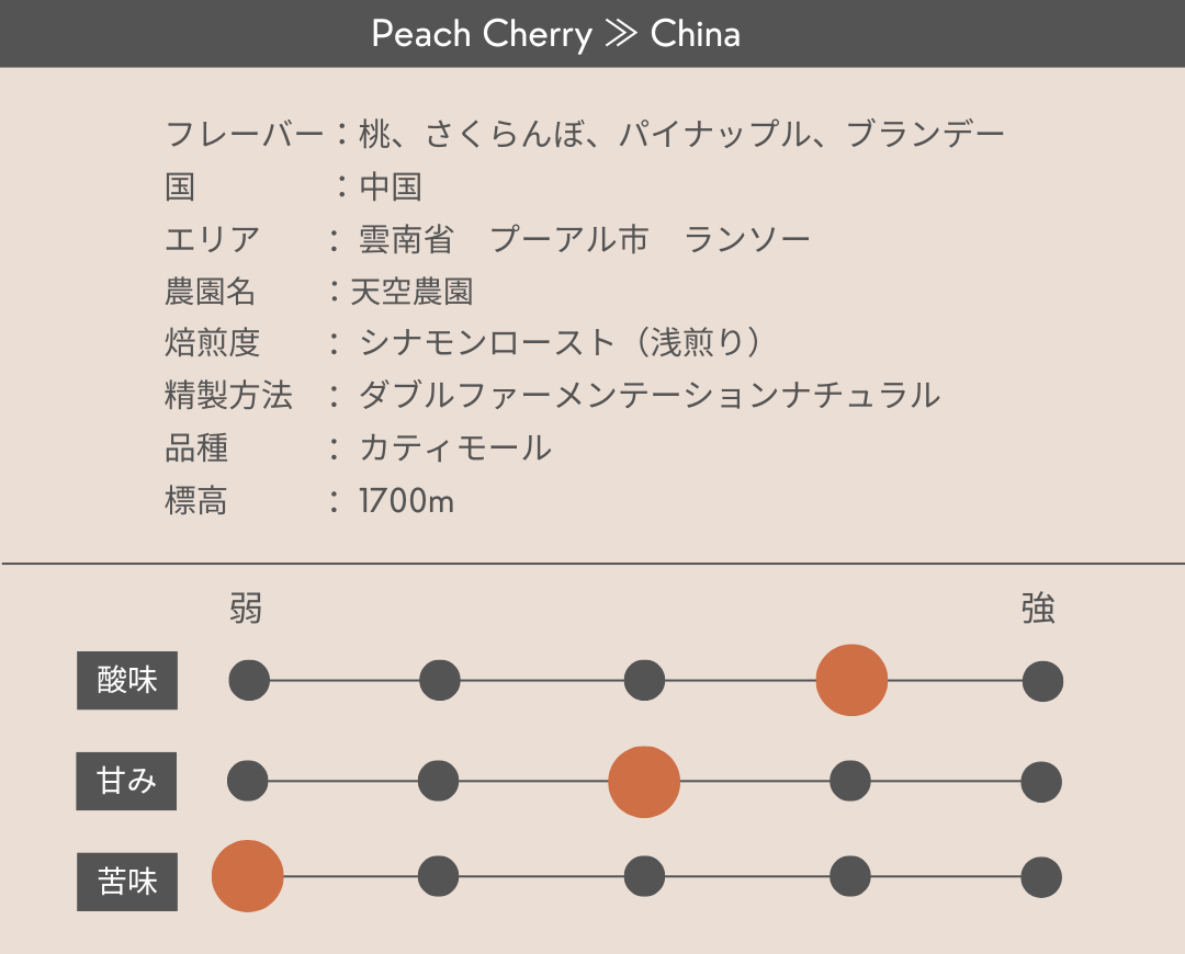 Peach Cherry ≫ China