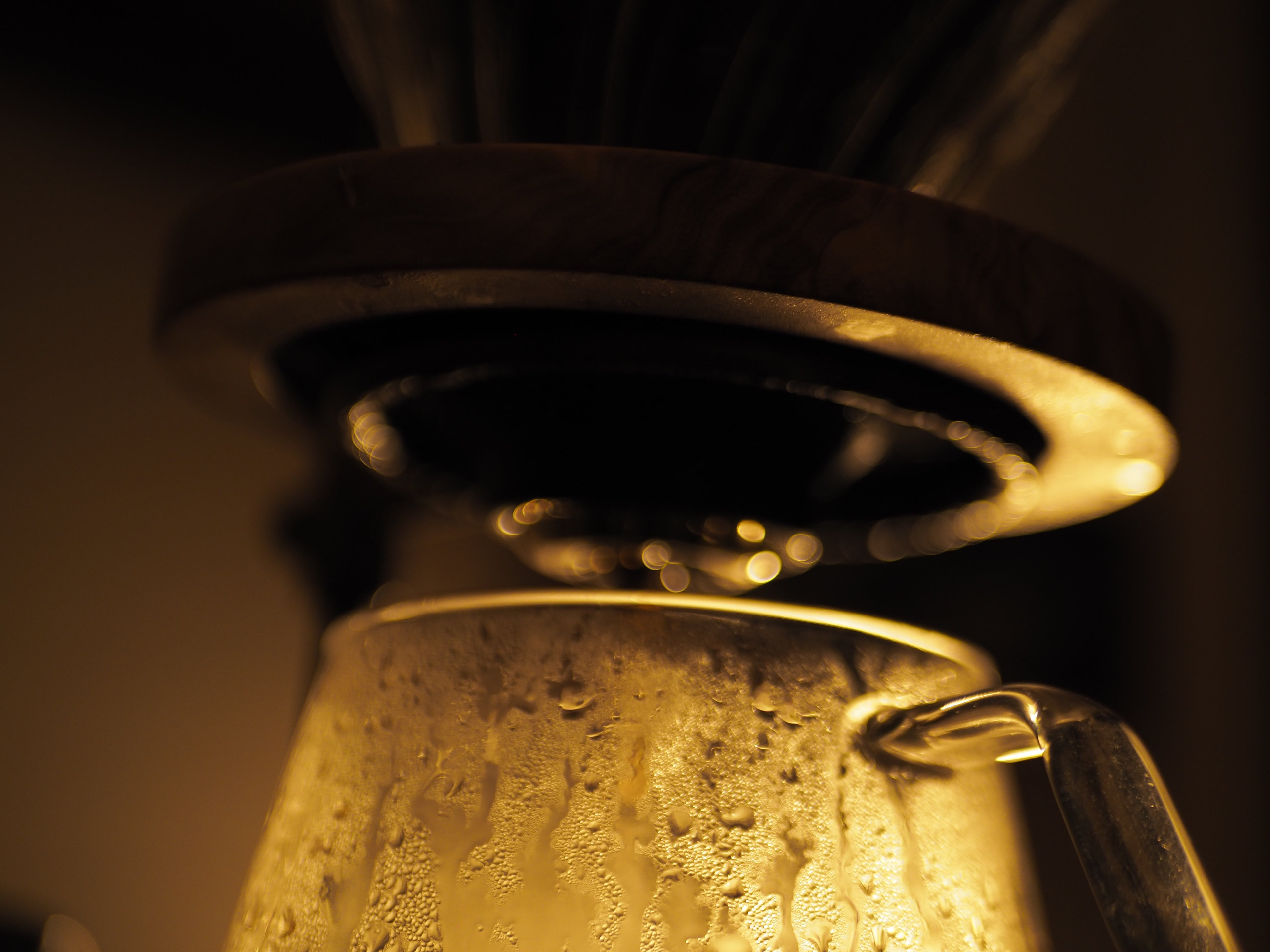 Bitter Herb ≫ Indonesia